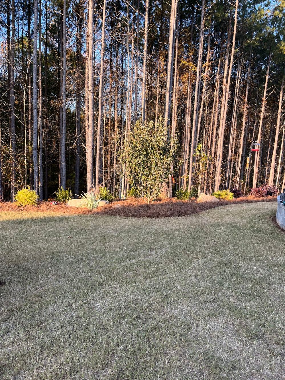 Landscape Design and Installation image