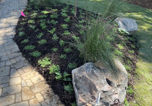 Recently planted fauna and shrubbery, part of StoneAge Stonescape's Landscaping for Cumming GA