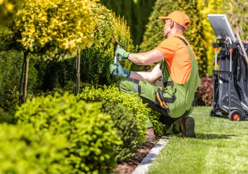 A team member from StoneAge Stonescapes, a Landscape Contractor in Suwanee GA, trims hedges on a new design